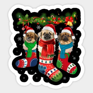 Three Tibetan Spaniels In Christmas Socks Sticker